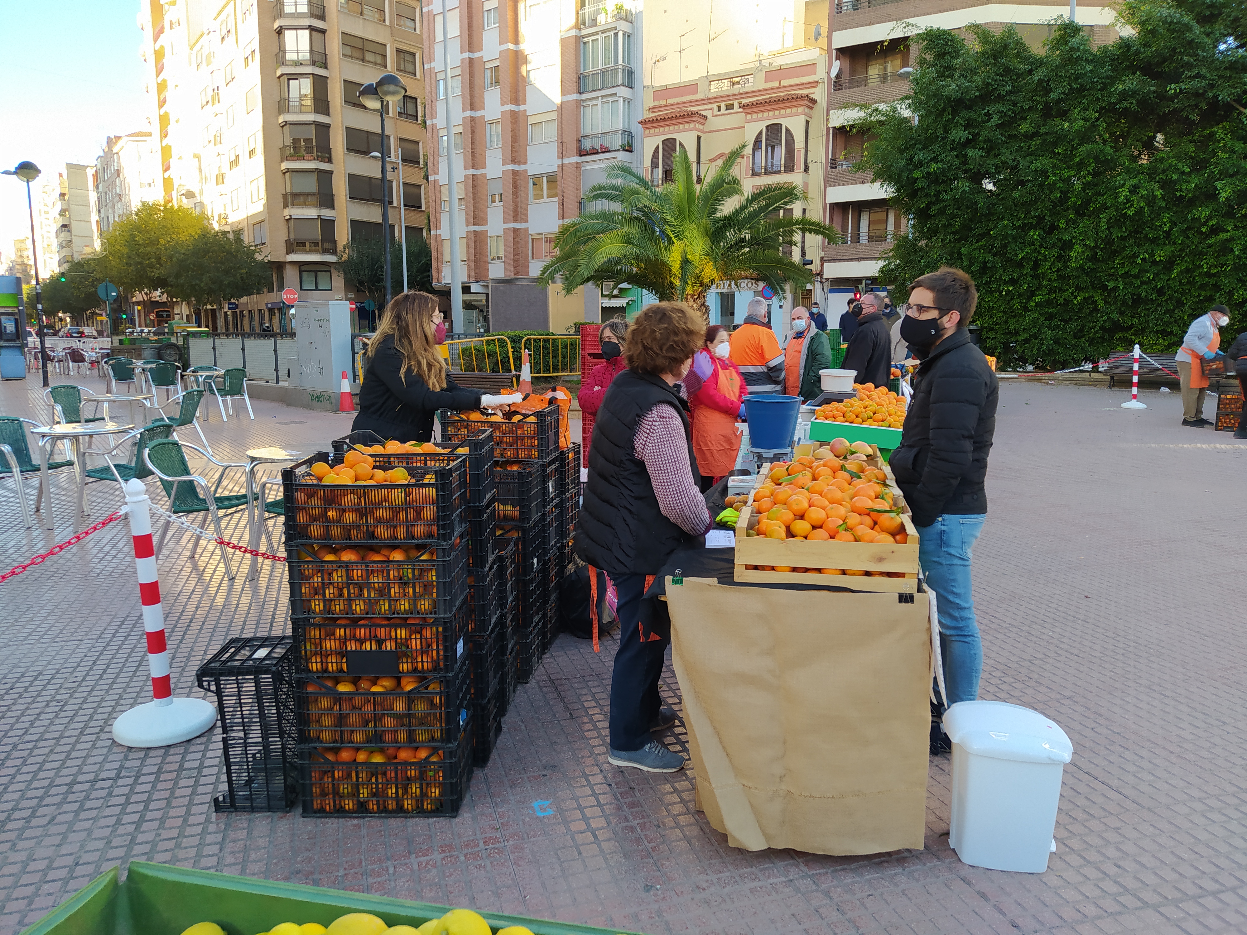 Castelló inicia la Fira de la Taronja con el objetivo de aumentar precios para los productores

