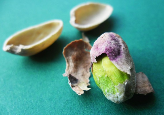 49 pistachos al día ayudan a fortalecer la flora intestinal y contribuyen al sistema inmunológico