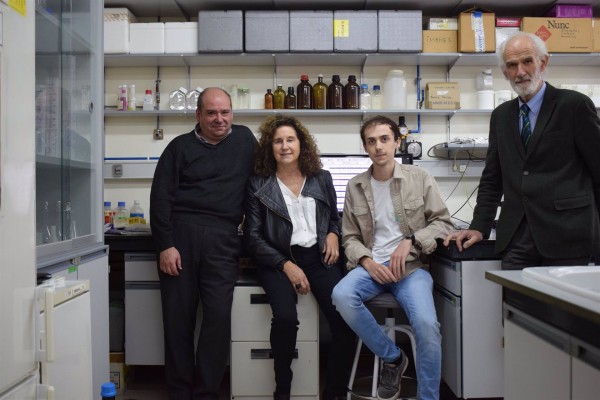 Científicos predicen el comportamiento de redes neuronales que se cultivan en laboratorio
