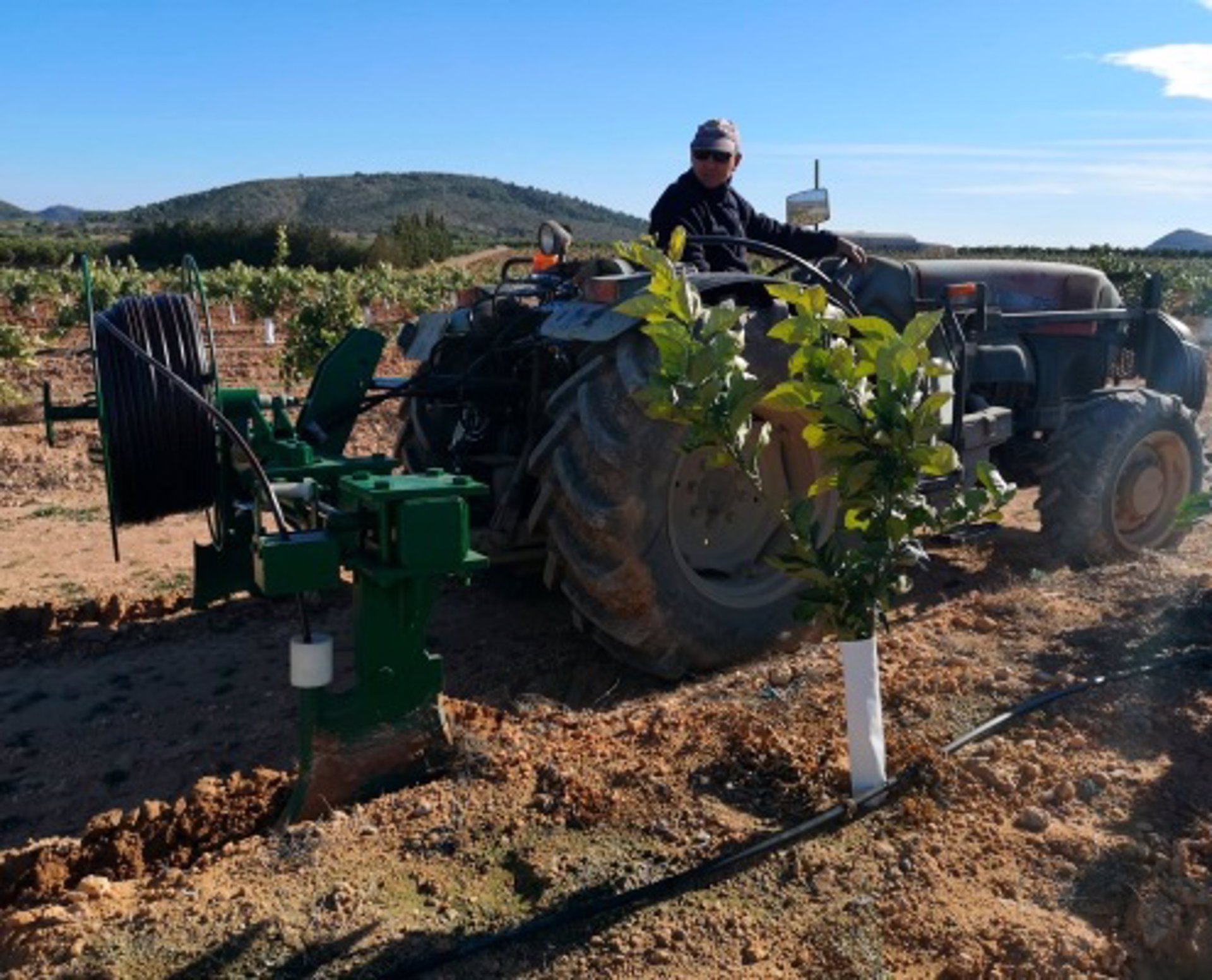 Foto: UNIÓ DE LLAURADORS - 