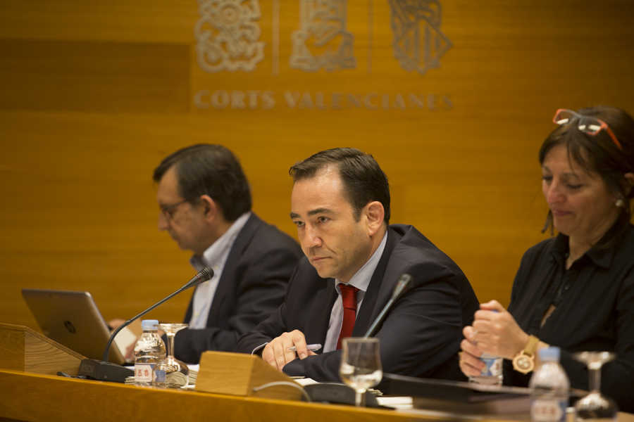 Manuel Illueca, director del IVF. Foto: ESTRELLA JOVER - 