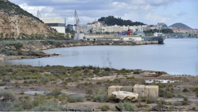Vox Cartagena acusa al Gobierno municipal de compartir las mismas mentiras que el Central sobre la instalación del CATE