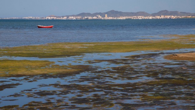 Un informe de la Comisión Europea desmiente que el Mar Menor esté eutrofizado