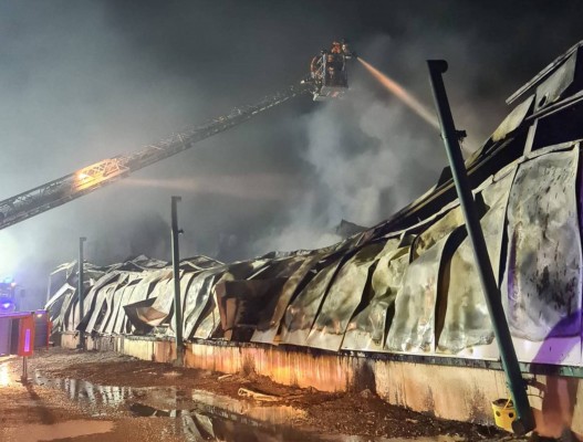 Huevos Guillén redistribuye la producción a la Región y Teruel para asegurar el suministro tras el incendio