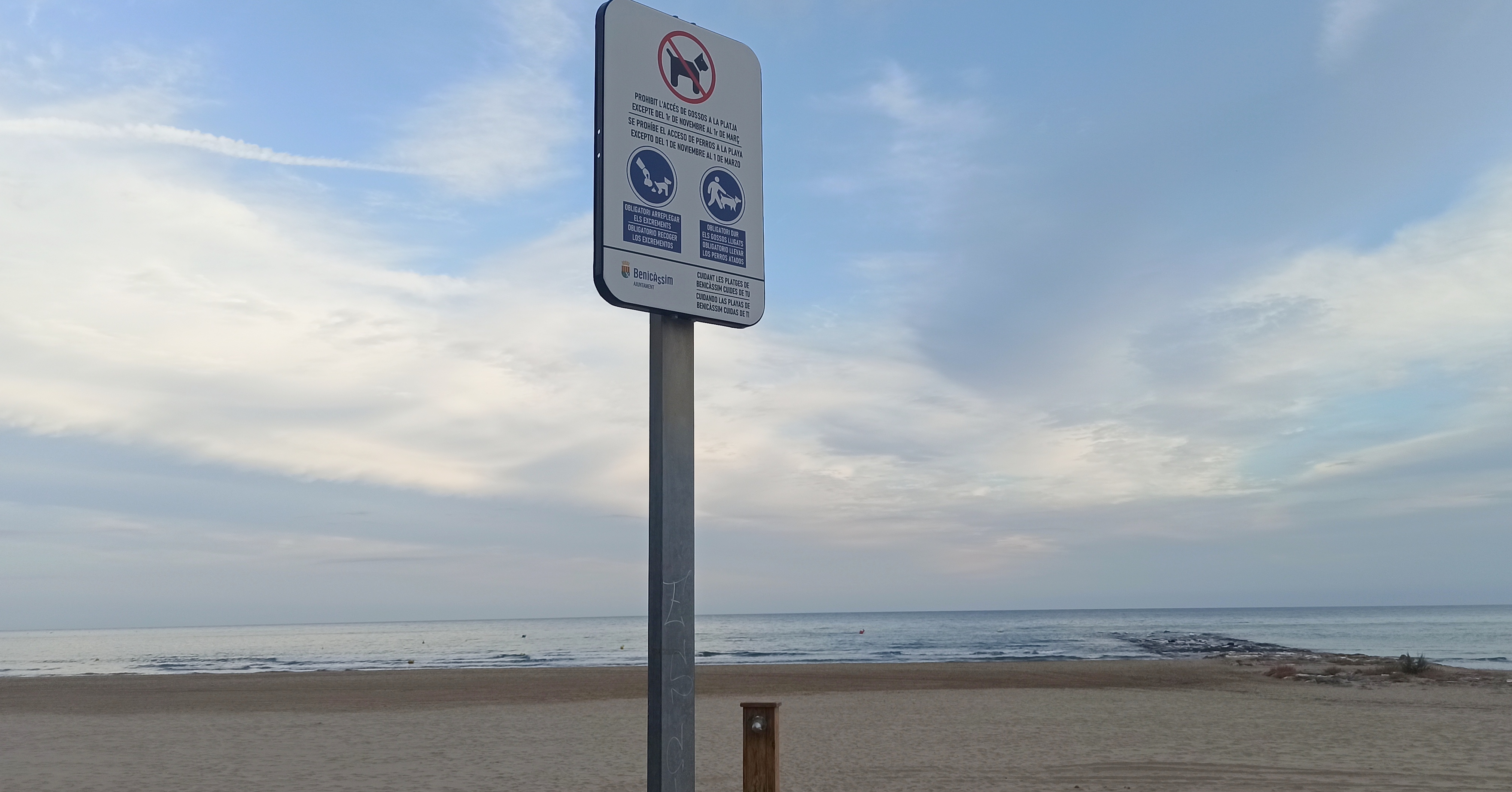 Benicàssim permite el acceso de perros a las playas desde el 1 de noviembre al 1 de marzo