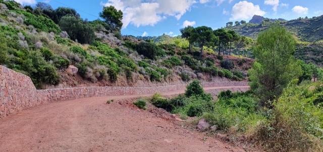 La Conselleria de Agricultura abre expediente por la muerte de 10 burros en el Desert de les Palmes