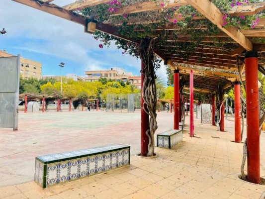 Elche impulsa una decena de proyectos por 3,3 millones: más carril bici, nuevos coches de policía u obras en Carrús