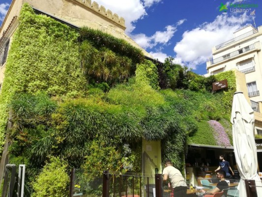 García-Ontiveros propone impulsar en Elche 'techos verdes' y jardines verticales para mejorar la calidad del aire 
