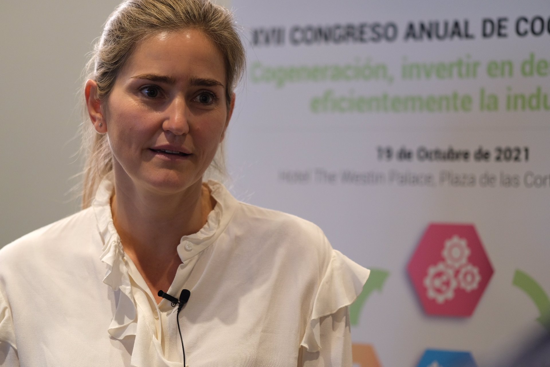 Transición Ecológica sacará en breve la orden de subastas para la cogeneración