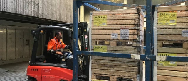Bruselas analiza esta semana si impone el tratamiento en frío a la naranja de Sudáfrica