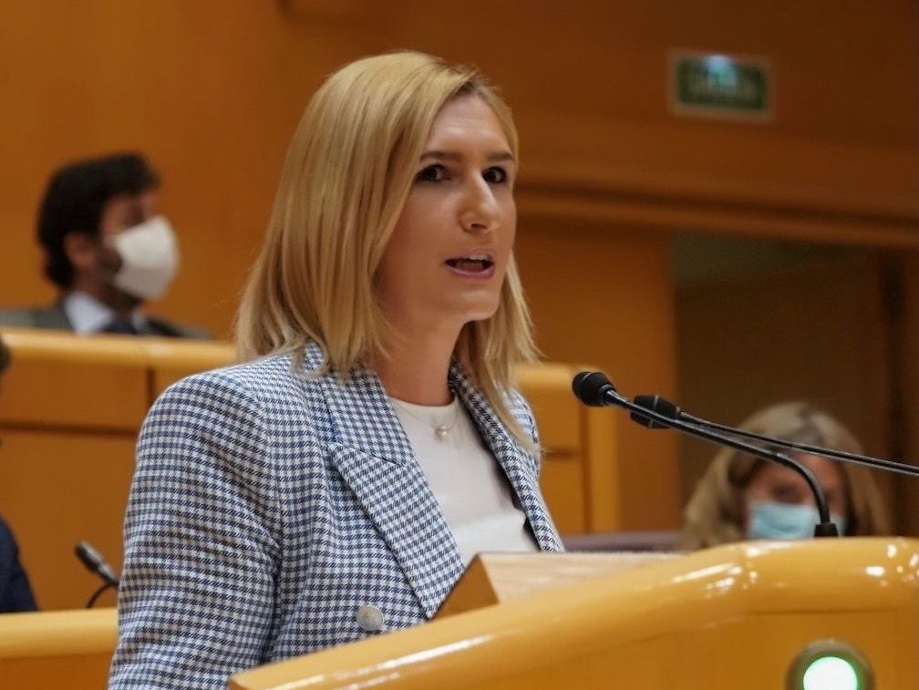 Pradas (PPCS) reclama al Gobierno más inversiones para infraestructuras en Castellón 