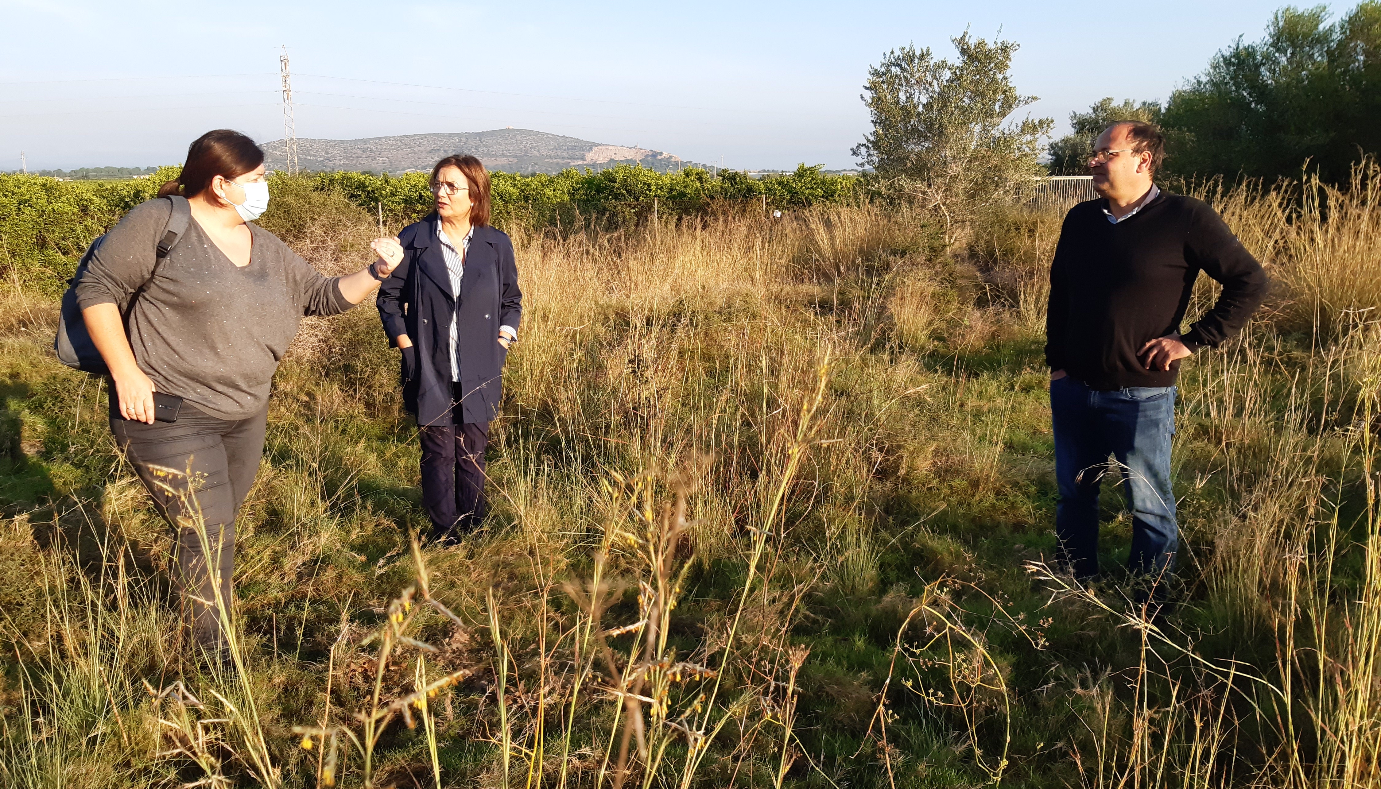 Benicarló adjudica per 134.000 euros l'excavació arqueològica i l’estudi del Mas de Fabra