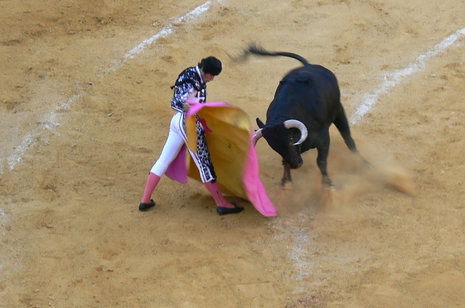 ¿Los toros no son cultura?