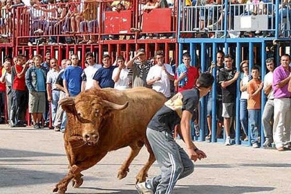 Los vecinos de Aldaia votan mayoritariamente 