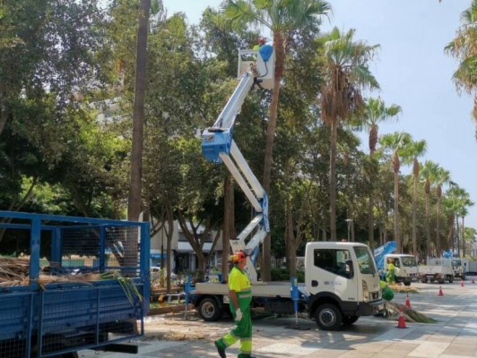 Alicante 'salda cuentas' con Geamur y amplía la contrata de zonas verdes con 1,2 millones más