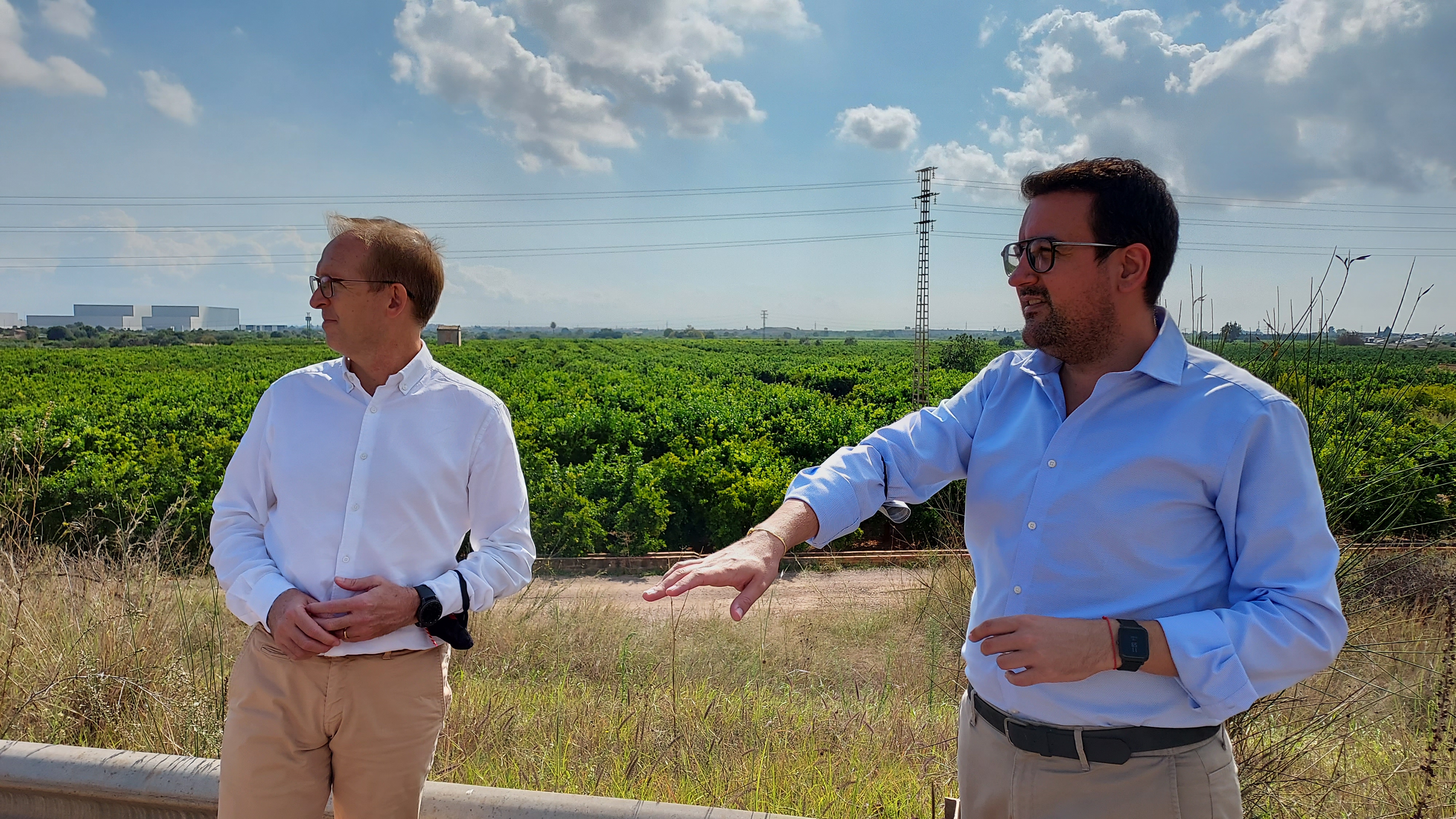 El PP de Vila-real pide más vigilancia en el campo en el inicio de la campaña de la naranja