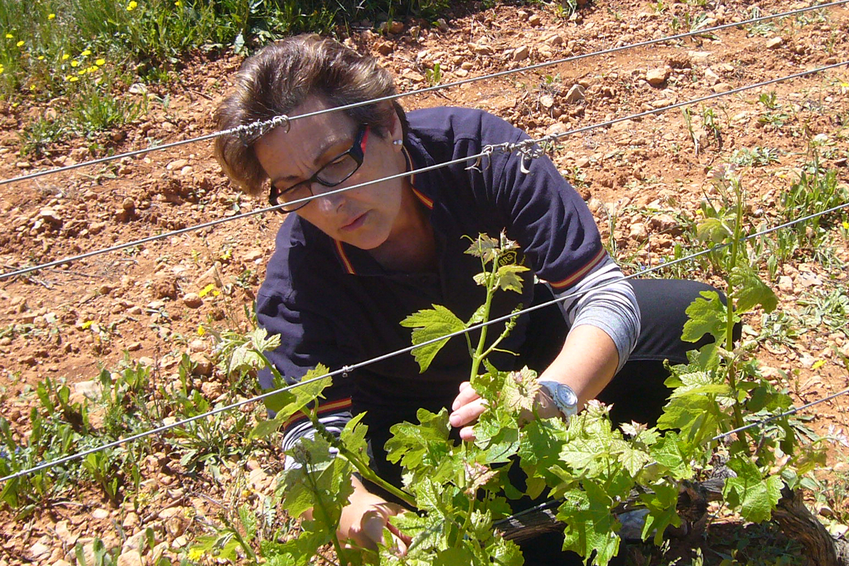 Castellón es la provincia con más socias de cooperativas agroalimentarias de la Comunitat
