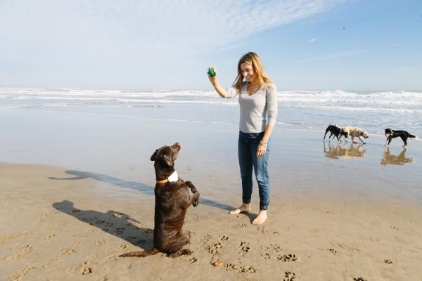 La startup valenciana 'Gosi' lanza un geolocalizador de mascotas que cuida de su salud