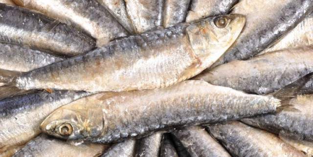 Un estudio apunta que el consumo de pescado ayuda a mantener la salud visual
