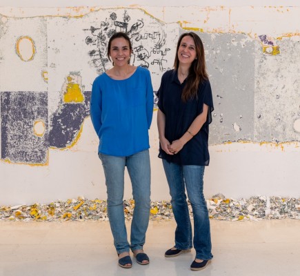 Un proyecto sobre el cáncer de mama gana la 1ª Beca de Arte Femenino de València