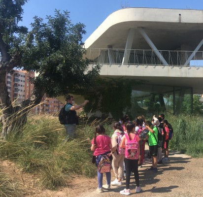 Alicante activa el programa escolar de educación ambiental con actividades para 60 centros