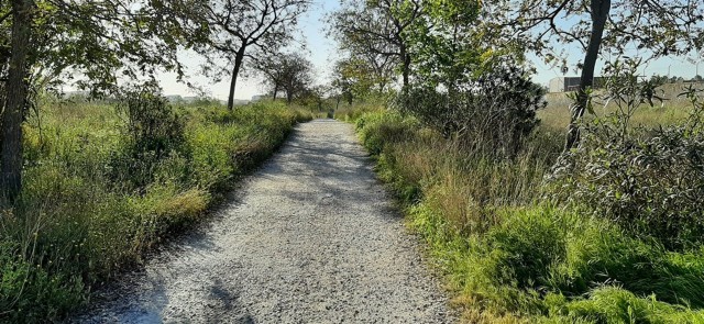 La ciudad gana un segundo parque natural con la inclusión del cauce del Túria como área protegida
