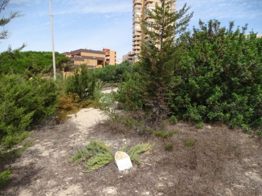Se busca alternativa a Monte Blanco en terrenos privados de La Manga: una carrera a contrarreloj