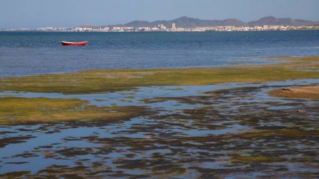 La CHS reforzará su plantilla de técnicos para acabar con el regadío ilegal en el Mar Menor