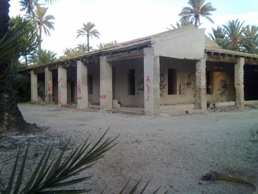 Cultura pide información sobre los proyectos del Hort de Pontos y Hort de Rastoll de Elche por el palmeral