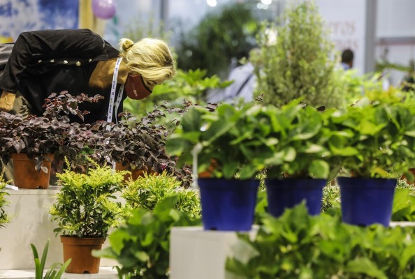 Más de 80 empresas importadoras de Francia, Marruecos o Líbano se interesan por Iberflora