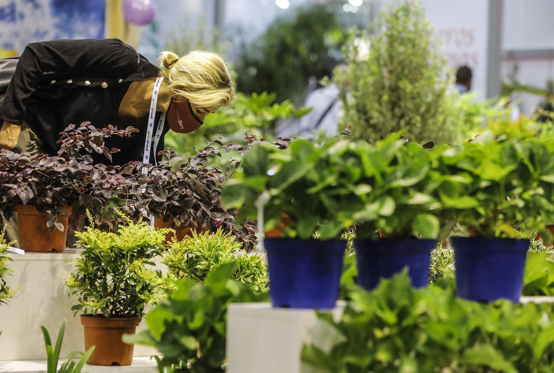 Más de 80 empresas importadoras de Francia, Marruecos o Líbano se interesan por Iberflora