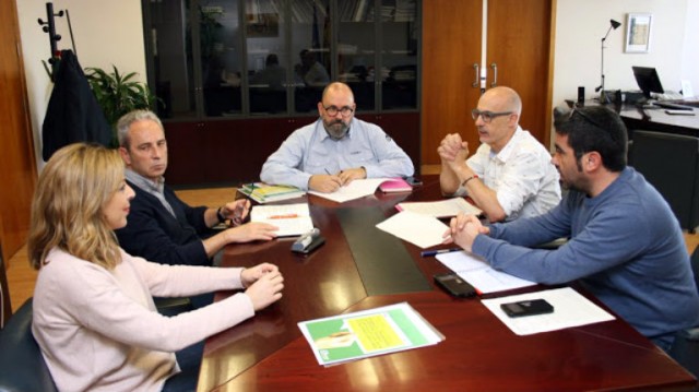 El Consell contratará a 200 desempleados para retirar árboles dañados por el temporal