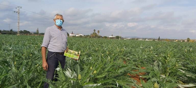 La DOP Alcachofa de Benicarló, Premio de Honor Rafael López Lita de Comunicación