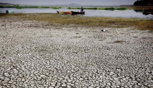 El cambio climático aumentará hasta cinco veces las pérdidas económicas asociadas a las olas de calor
