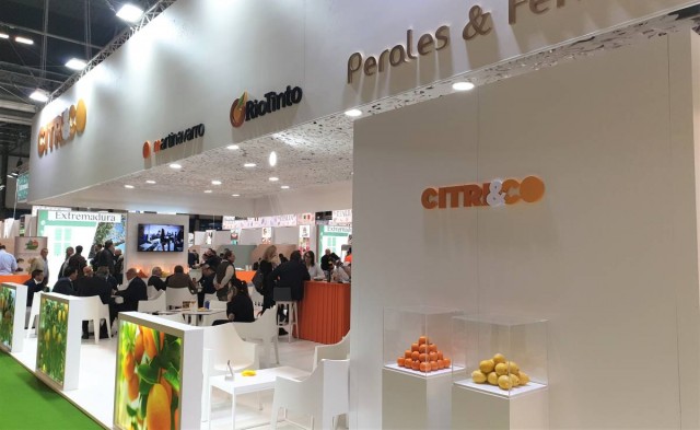 Una docena de firmas citrícolas castellonenses vuelven a las ferias presenciales en Madrid