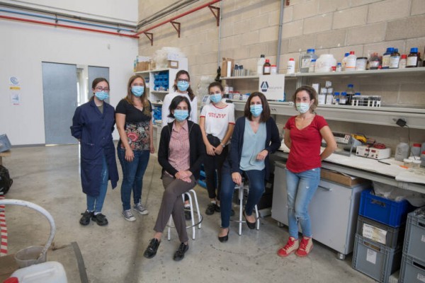 Applynano trabaja en nanomateriales con el fin de  obtener componentes autorreactivos 