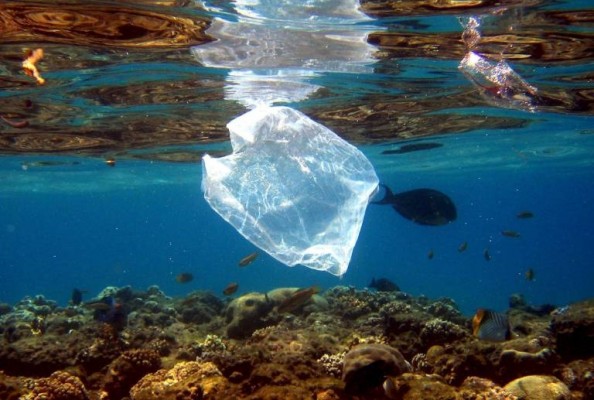 Diputación y las Cofradías de Pescadores fomentarán la recogida de plásticos en el mar