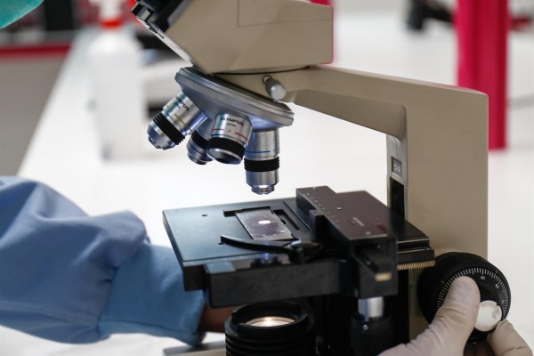 La Generalitat destina más de 11 millones a atraer talento a universidades públicas y centros