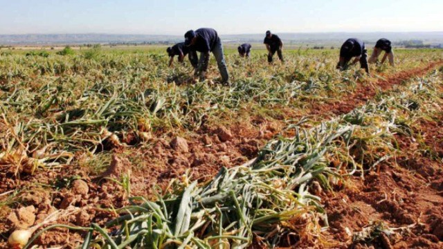 El nuevo pacto europeo de migración sancionará a las empresas empleadoras de trabajadores ilegales 