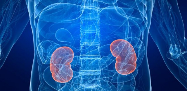 El cáncer de riñón está entre los 10 tumores más prevalentes en España 