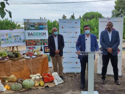 Proexport anuncia una subida de precios de las frutas y hortalizas
