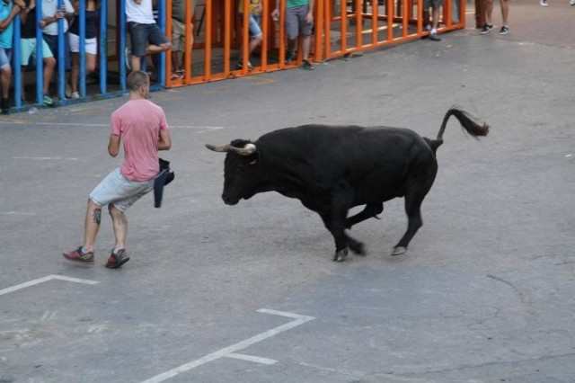 Los festejos taurinos regresan a las calles valencianas a partir de octubre

