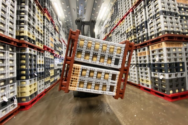 Los precios de la industria alimentaria suben en agosto un 7,1% respecto al año pasado