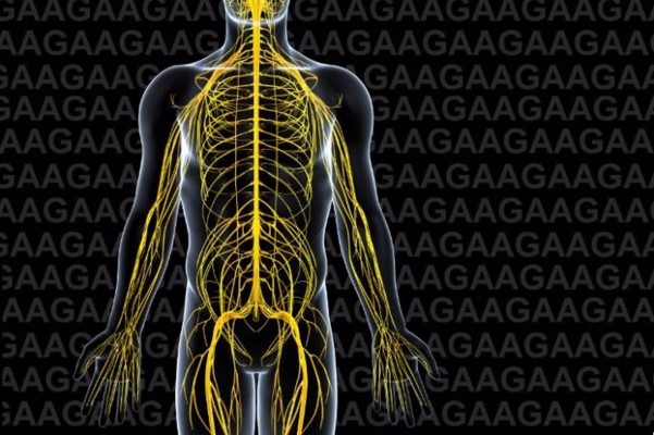 La mitad de los españoles con ataxias o paraparesias hereditarias no disponen de un diagnóstico genético
