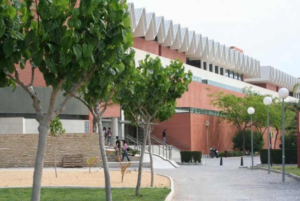 Oleada de nuevas concesiones de cafeterías en Elche: turno para la UMH, Estación de Autobuses y Mahe