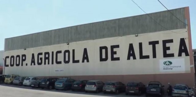 Altea busca apoyos para la compra de los activos de la cooperativa agrícola, en concurso de acreedores