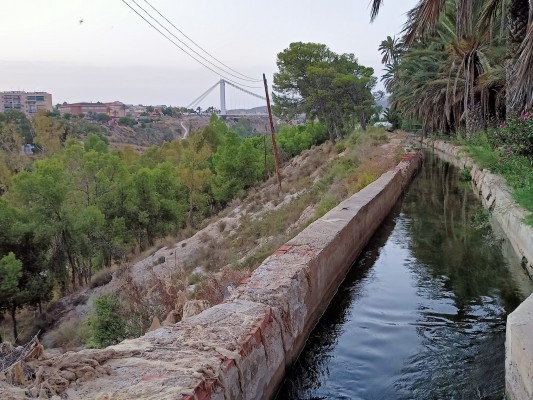 Elche elaborará un Plan Rector de uso y gestión de la red de riego del Palmeral con una ayuda del Ministerio