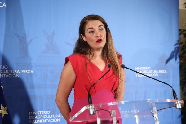 Mollà sobre la ampliación del Puerto: 