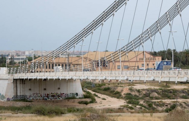 El Bimil·lenari de Elche, abocado a una gran intervención tras confirmar problemas importantes en el subsuelo