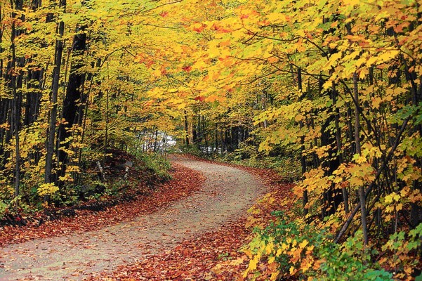 El otoño llega este miércoles a las 21.21 horas y la hora se cambiará el domingo 31 de octubre